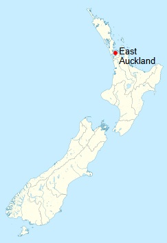 Your Local Auckland East Business Advisors