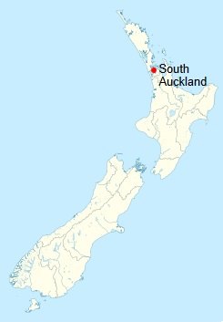 Your Local Auckland South Business Advisors