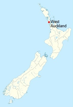 Your Local Auckland West Business Advisors