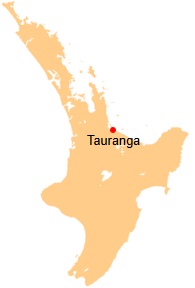 Your Local Tauranga Business Advisors
